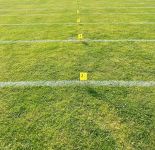 Sportfest 2025 4 Sportfest 2025 4